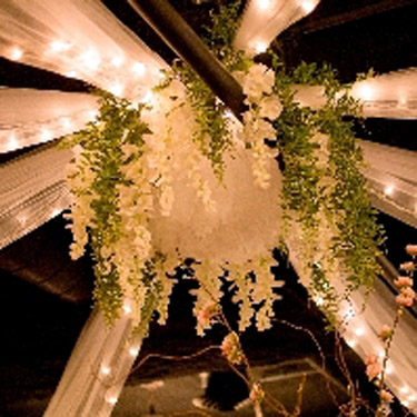 Wisteria Photo Idea - Gallery - Budget Ceiling decoration ideas